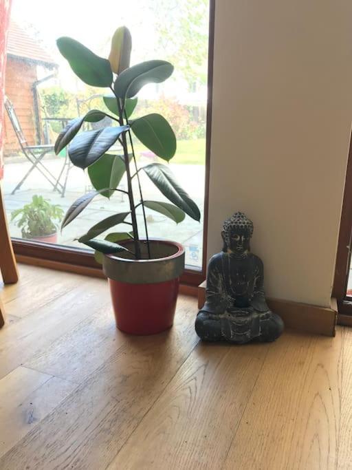 HambrookThe Retreat, A Relaxing Getaway For Couplesアパートメント エクステリア 写真